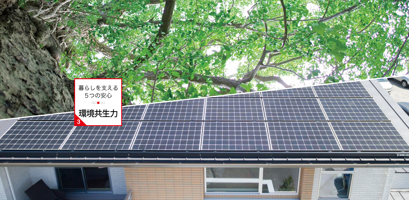 環境共生力:自然の力を生かして身体に優しく