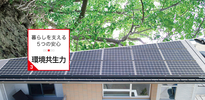 環境共生力:自然の力を生かして身体に優しく