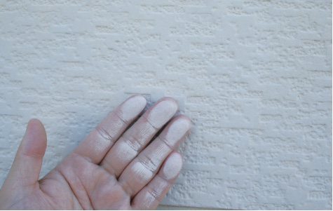 表面に白い粉がふき、触ると手に付きます。