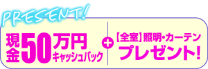 現金50万円キャッシュバック+【全室】照明・カーテン プレゼント！