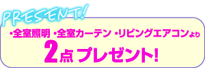 ・全室照明・全室カーテン・リビングエアコンより2点プレゼント！