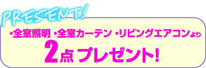 ・全室照明・全室カーテン・リビングエアコンより2点プレゼント！