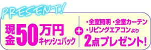 現金50万円キャッシュバック！+・全室照明・全室カーテン・リビングエアコンより2点プレゼント！