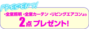 ・全室照明・全室カーテン・リビングエアコンより2点プレゼント！