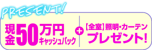 現金50万円キャッシュバック！+【全室】照明・カーテンプレゼント！