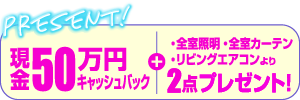 現金50万円キャッシュバック+・全室照明・全室カーテン・リビングエアコンより2点プレゼント！