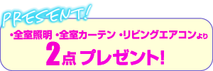・全室照明・全室カーテン・リビングエアコンより2点プレゼント！