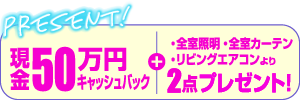 現金50万円キャッシュバック+・全室照明・全室カーテン・リビングエアコンより2点プレゼント！