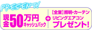 現金50万円キャッシュバック+【全室】照明・カーテン リビングエアコン プレゼント！