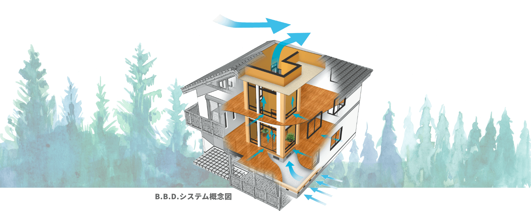 B.B.D.システム概念図