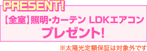 【全室】照明・カーテン LDKエアコン プレゼント！