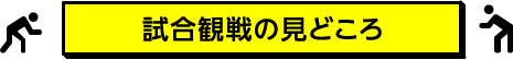 試合観戦の見どころ
